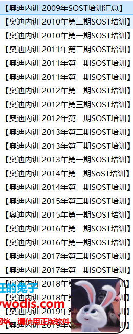 某禅--奥迪改装资料6.3G