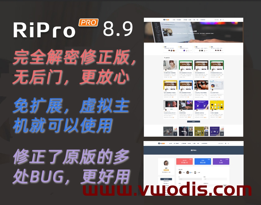 【主题】Ripro8.9完全解密修正版,无加密无后门