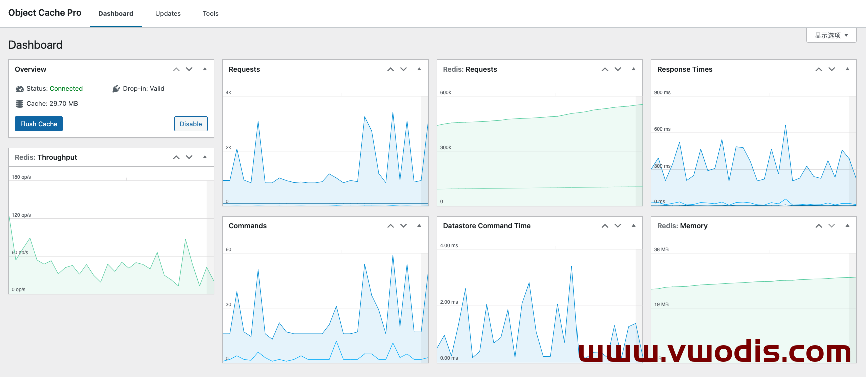 【wordpress】WordPress插件Redis Cache Pro 1.20.2 企业级Redis对象缓存优化-开心版