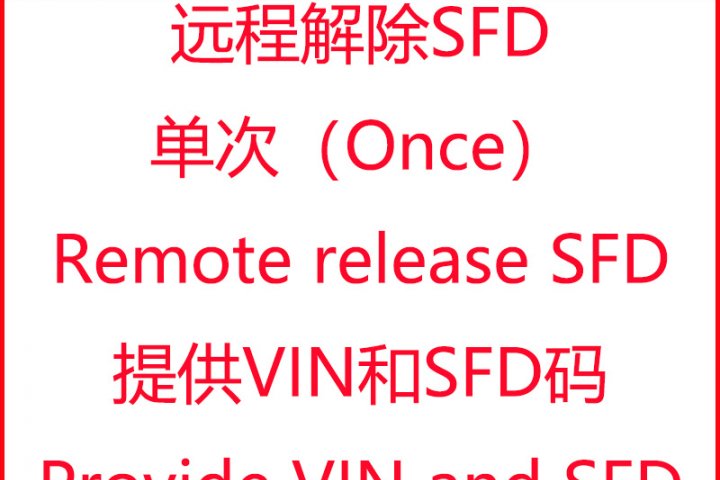 VW-SKODA-AUDI SFD Release SFD Once(大众-斯柯达-奥迪解除SFD一次服务) – 一车网